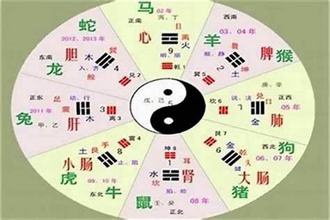 敏五行|敏的五行属性